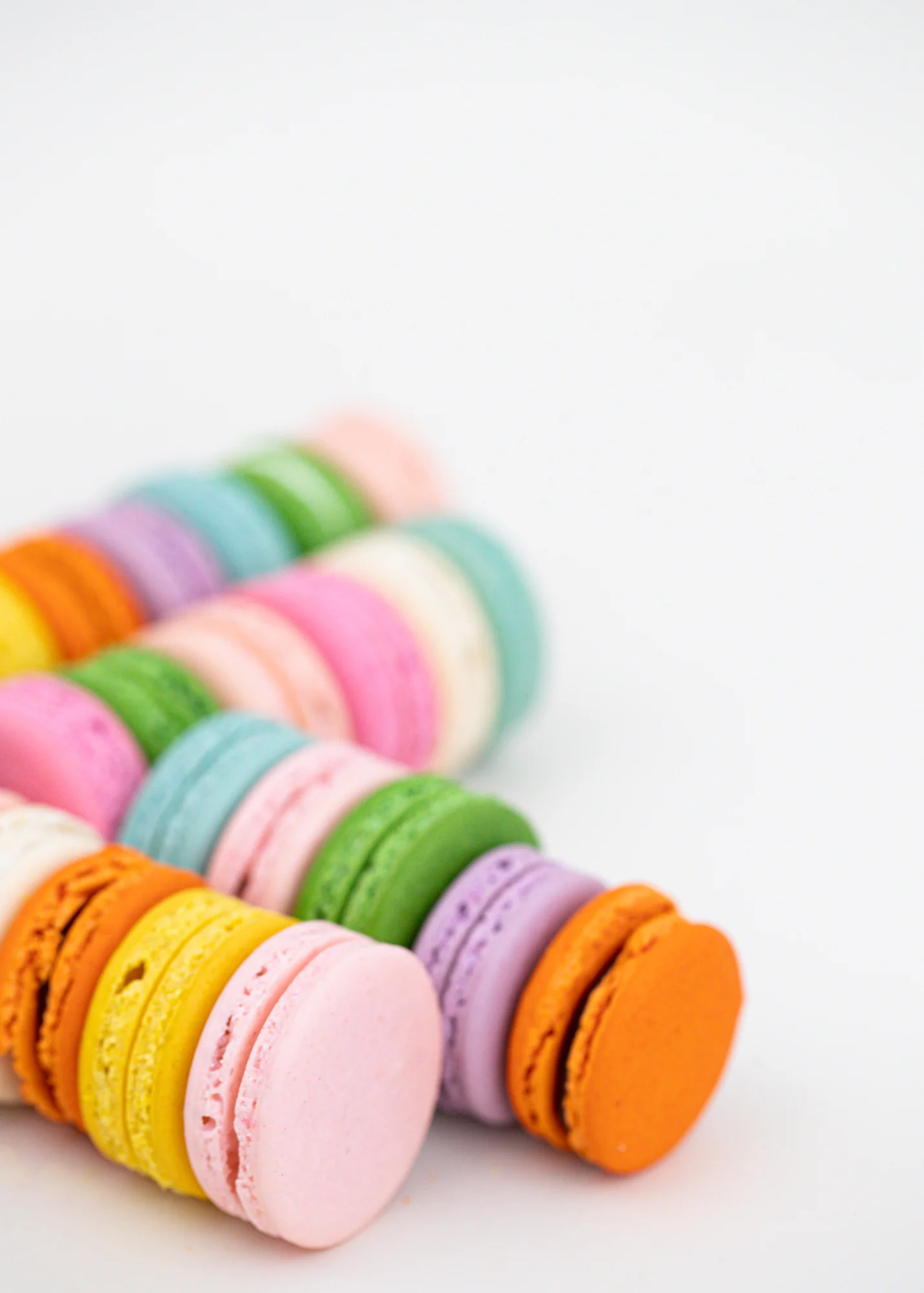 French Macaron Sleeve