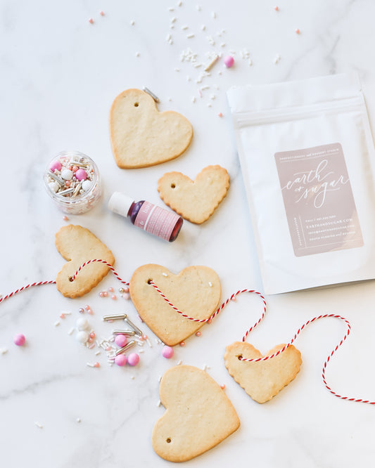 Valentine's Sugar Cookie Art Kit