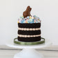 Chocolate Bunny Easter Cake