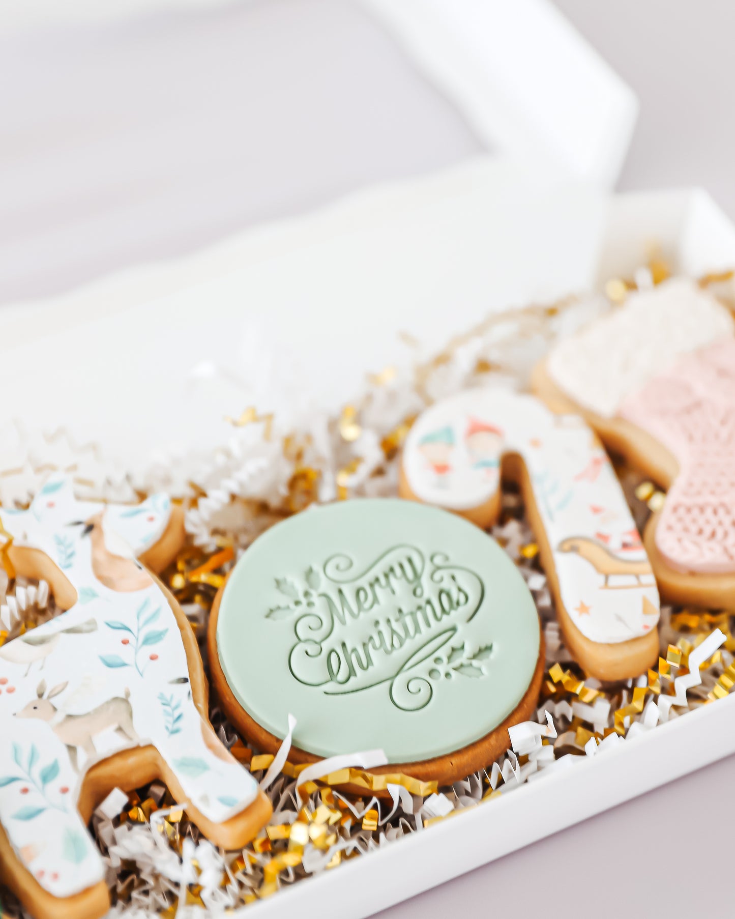 Festive Cookie Gift Box