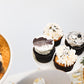 The Graduate Cupcake Box