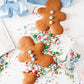 Gingerbread Cookie Decorating Kit